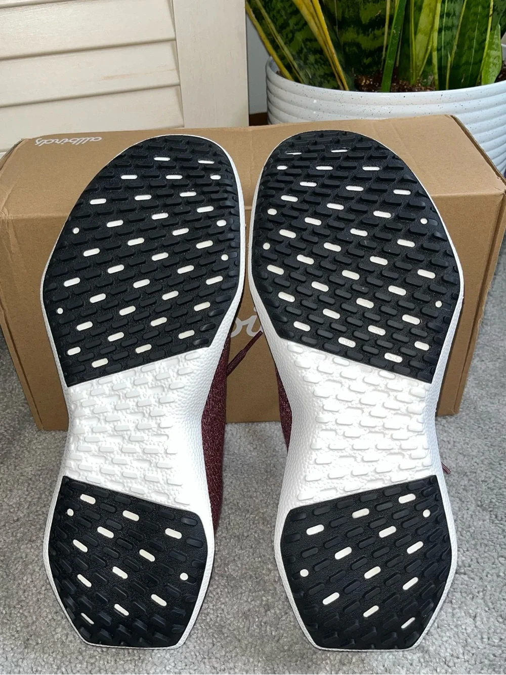 allbirds nib men’s